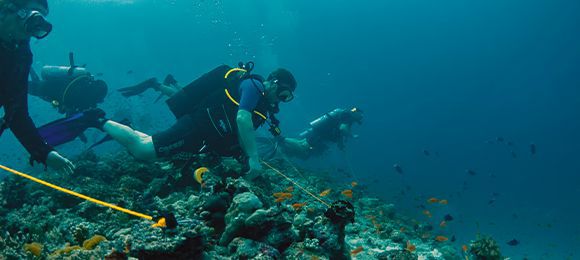 Essential Guide to using a Reef Hook